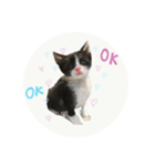 はちくまスタンプその1（個別スタンプ：1）