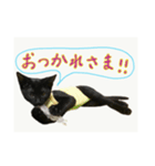 はちくまスタンプその1（個別スタンプ：2）