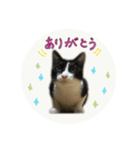 はちくまスタンプその1（個別スタンプ：3）