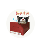 はちくまスタンプその1（個別スタンプ：5）