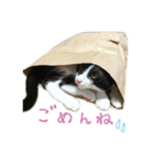 はちくまスタンプその1（個別スタンプ：6）