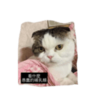 MI_DI（個別スタンプ：3）