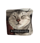 MI_DI（個別スタンプ：4）