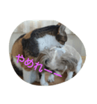 じろーくん（個別スタンプ：8）