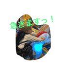 tomy family（個別スタンプ：9）