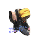 ren.chobi（個別スタンプ：1）