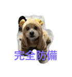 ren.chobi（個別スタンプ：4）
