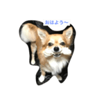 パトラ＆レオン（個別スタンプ：1）