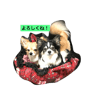 パトラ＆レオン（個別スタンプ：3）