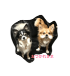 パトラ＆レオン（個別スタンプ：8）