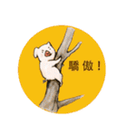 pig's life story in traditional chinese（個別スタンプ：14）