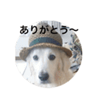 queen. Noel. Monica（個別スタンプ：5）