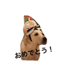 queen. Noel. Monica（個別スタンプ：39）
