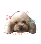 凜ちゃんと愉快な仲間たち（個別スタンプ：3）