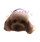 凜ちゃんと愉快な仲間たち（個別スタンプ：4）