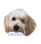 凜ちゃんと愉快な仲間たち（個別スタンプ：9）