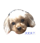 凜ちゃんと愉快な仲間たち（個別スタンプ：13）