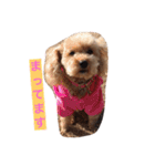 凜ちゃんと愉快な仲間たち（個別スタンプ：22）