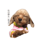 凜ちゃんと愉快な仲間たち（個別スタンプ：26）