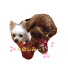 凜ちゃんと愉快な仲間たち（個別スタンプ：28）