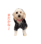 凜ちゃんと愉快な仲間たち（個別スタンプ：31）