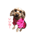 凜ちゃんと愉快な仲間たち（個別スタンプ：32）