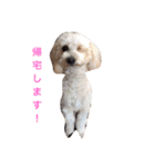 凜ちゃんと愉快な仲間たち（個別スタンプ：33）