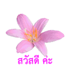 kikimama Flower Stickerタイ語版（個別スタンプ：1）