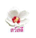 kikimama Flower Stickerタイ語版（個別スタンプ：2）
