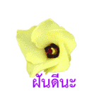 kikimama Flower Stickerタイ語版（個別スタンプ：4）
