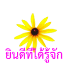 kikimama Flower Stickerタイ語版（個別スタンプ：5）