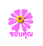 kikimama Flower Stickerタイ語版（個別スタンプ：6）