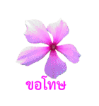 kikimama Flower Stickerタイ語版（個別スタンプ：7）