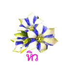 kikimama Flower Stickerタイ語版（個別スタンプ：8）