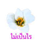 kikimama Flower Stickerタイ語版（個別スタンプ：9）