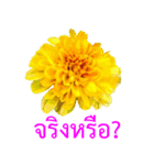 kikimama Flower Stickerタイ語版（個別スタンプ：11）