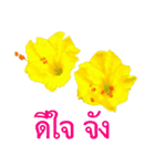 kikimama Flower Stickerタイ語版（個別スタンプ：14）