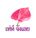 kikimama Flower Stickerタイ語版（個別スタンプ：16）