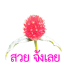 kikimama Flower Stickerタイ語版（個別スタンプ：17）