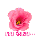 kikimama Flower Stickerタイ語版（個別スタンプ：18）