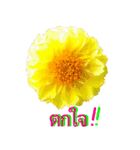 kikimama Flower Stickerタイ語版（個別スタンプ：19）
