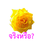 kikimama Flower Stickerタイ語版（個別スタンプ：25）
