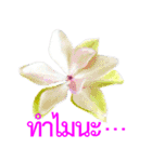 kikimama Flower Stickerタイ語版（個別スタンプ：26）