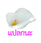 kikimama Flower Stickerタイ語版（個別スタンプ：27）
