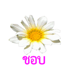 kikimama Flower Stickerタイ語版（個別スタンプ：31）