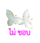 kikimama Flower Stickerタイ語版（個別スタンプ：32）