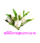 kikimama Flower Stickerタイ語版（個別スタンプ：33）