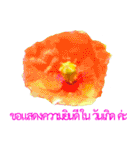 kikimama Flower Stickerタイ語版（個別スタンプ：35）