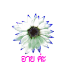 kikimama Flower Stickerタイ語版（個別スタンプ：36）