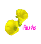 kikimama Flower Stickerタイ語版（個別スタンプ：37）